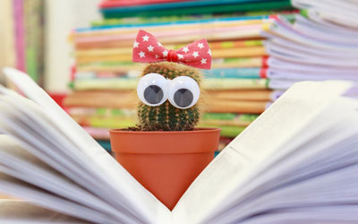 cc攻击免费网页版